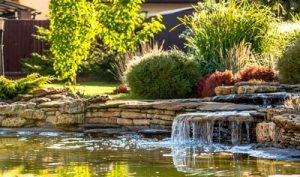 Une cascade dans votre jardin